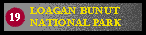 Loagan Bunut