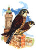 Painting (40 KB)