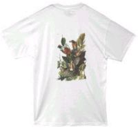 American Robin T-shirt