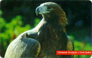 Eagle