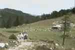 Mountain Pasture Konjscica