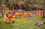 Foto8