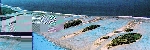 Foto9