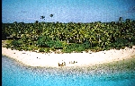 Foto5