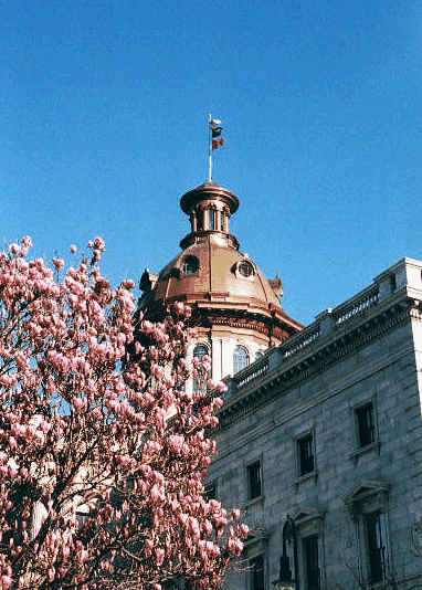 [Capitol]