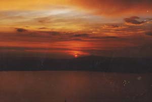 Maculotsun.JPG (6990 bytes)