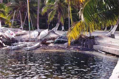 boats1.jpg (34881 bytes)