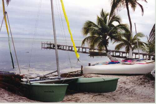 boats2.jpg (23863 bytes)