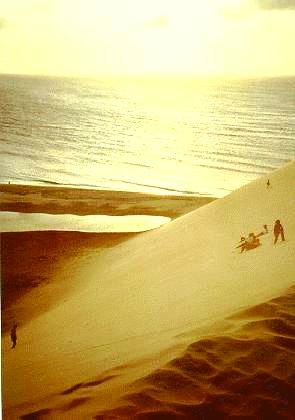 The main dune