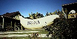 bigbanana.jpg