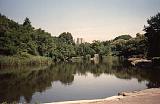 centralpark.jpg