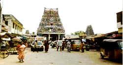 vadapalani.jpg (12194 bytes)