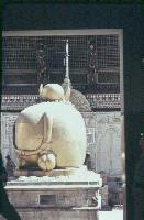Nandi, le taureau sacré