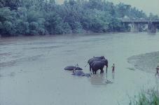 Kanty, rivière Mahaveli Ganga