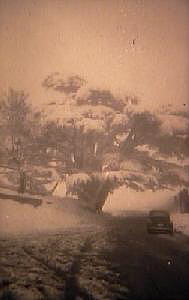 Liban, les c�dres.