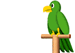 Parrothead!!! Parrothead!!!