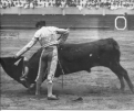 Jorge F. Arancivia Chavez