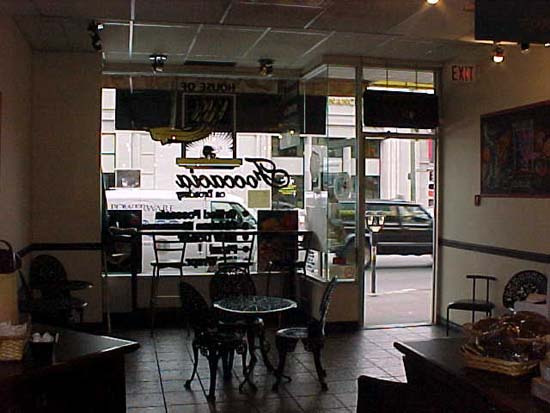 MVC-310S