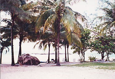 Beach at Bintan