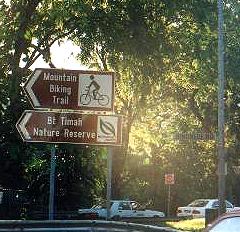 Hindhede Drive ... the road leading to Bkt.Timah Nature Reserve