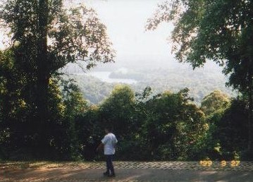 At the summit of Bukit Timah Hill ... the Central Catchment Nature Reserve