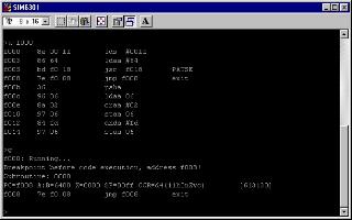 sim6301-small.jpg