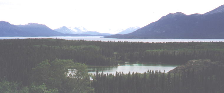 Atlin Lake