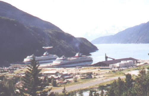 Skagway from  Nehko Bay  