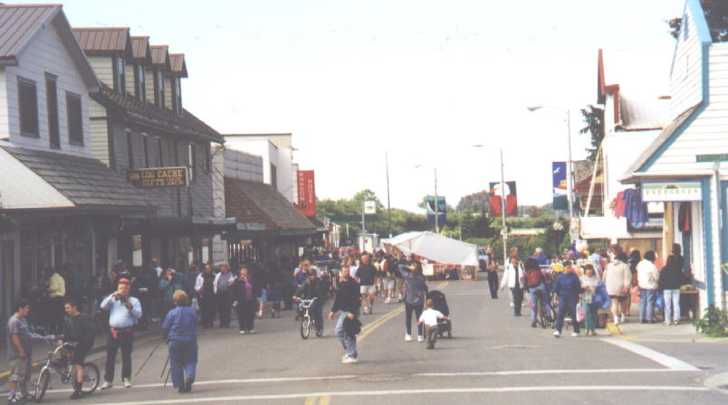 Annual Street Fail at Sitka 