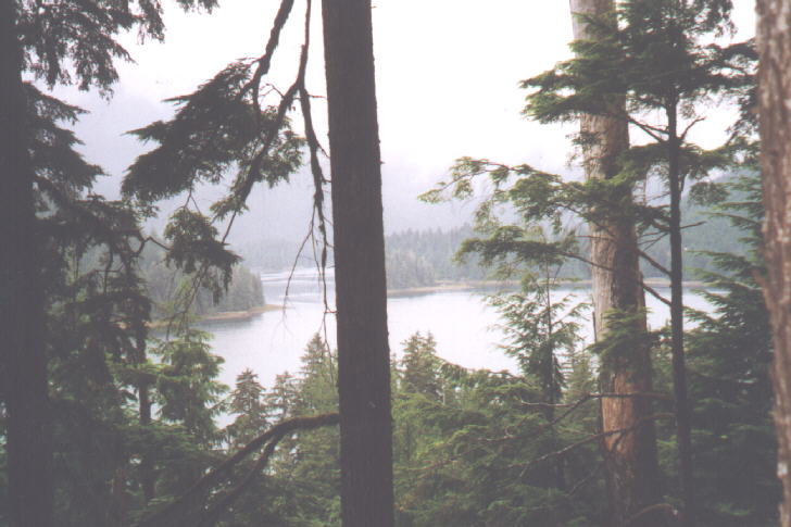 View from outside El Capitan Cave