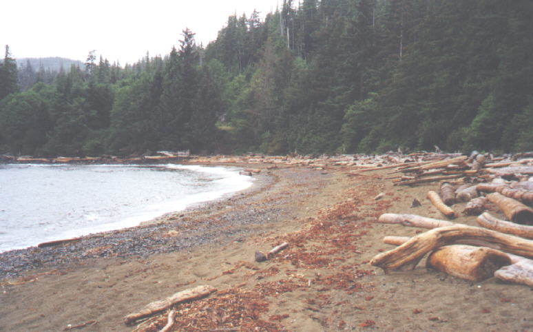 Sandy Beach on Princd of Wales