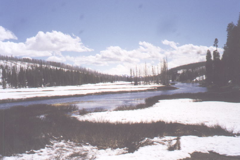 Snow in south Yellowstone in June