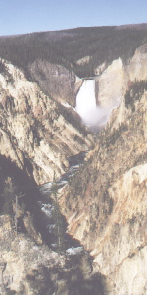 Lower Falls from  Yellowstone Canyon