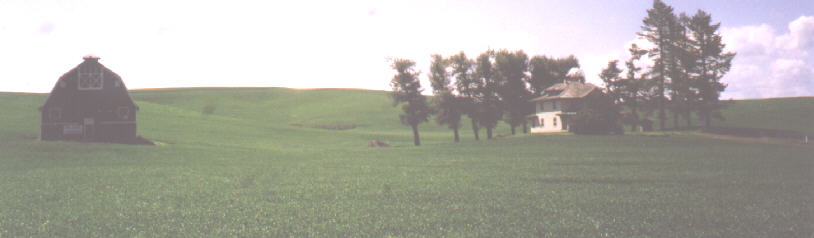 Palouse Country near Pullman