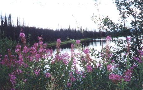 Mayorie Lake