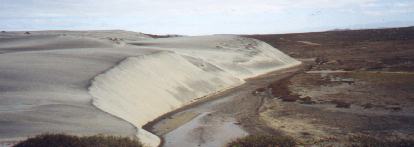 Sand Dunes at Malibu Beach