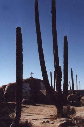 Cactuses in desert with cross in background 