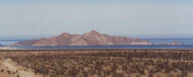 ???? Island in Sea of Cortez 