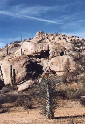 Rock that we climbed in desert 
