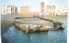 Imagen de 45 kb del buque La Margarita.Ubicado en Mar de Aj�