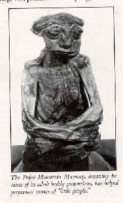Pedro the mountain mummy