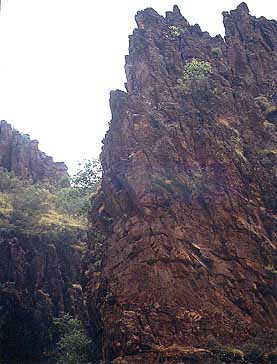 kakadu-jim2.jpg (24242 bytes)