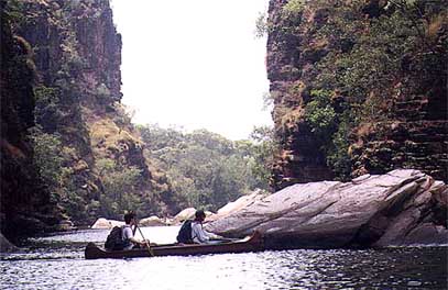 kakadu-twin7.jpg (33413 bytes)