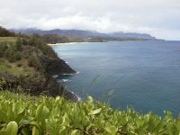 kauai05.jpg