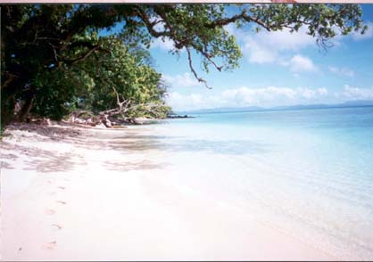 Plage � l'eau translucide