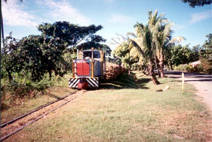 Train transportant la canne � sucre