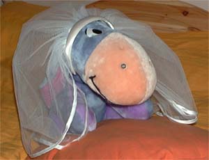Julia's veil