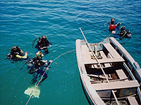 Photo of scuba divers in Mozambique