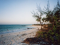 Photo of a beach on Matemo Island