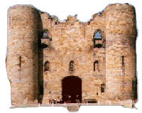 Photo of Tonbridge castle
